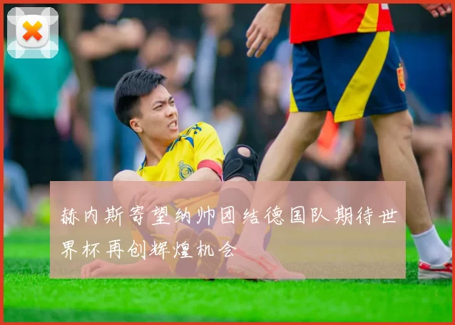 赫内斯寄望纳帅团结德国队期待世界杯再创辉煌机会