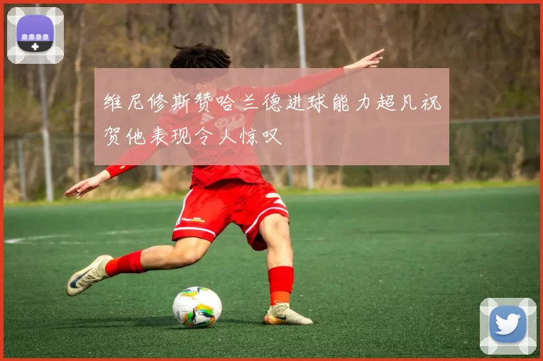 维尼修斯赞哈兰德进球能力超凡祝贺他表现令人惊叹